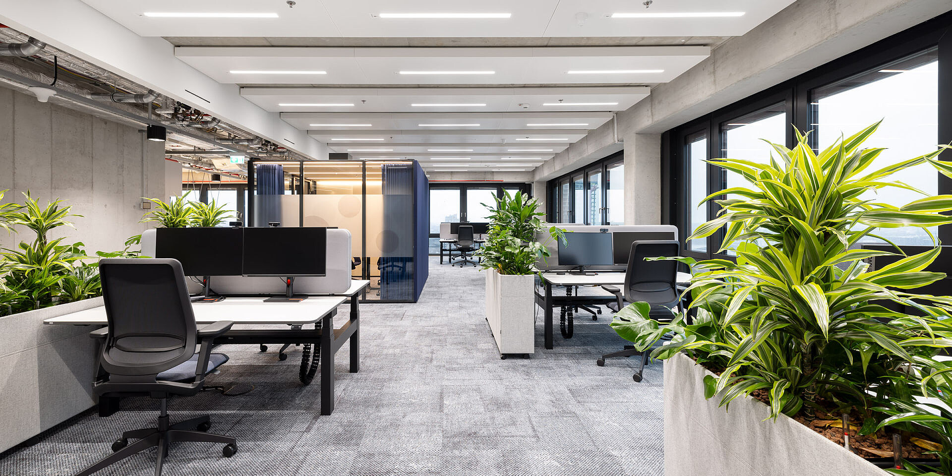 Modernes Büro mit höhenverstellbaren temptation c Schreibtischen und se:flex Bürodrehstühlen, Pflanzen trennen Arbeitsbereiche.