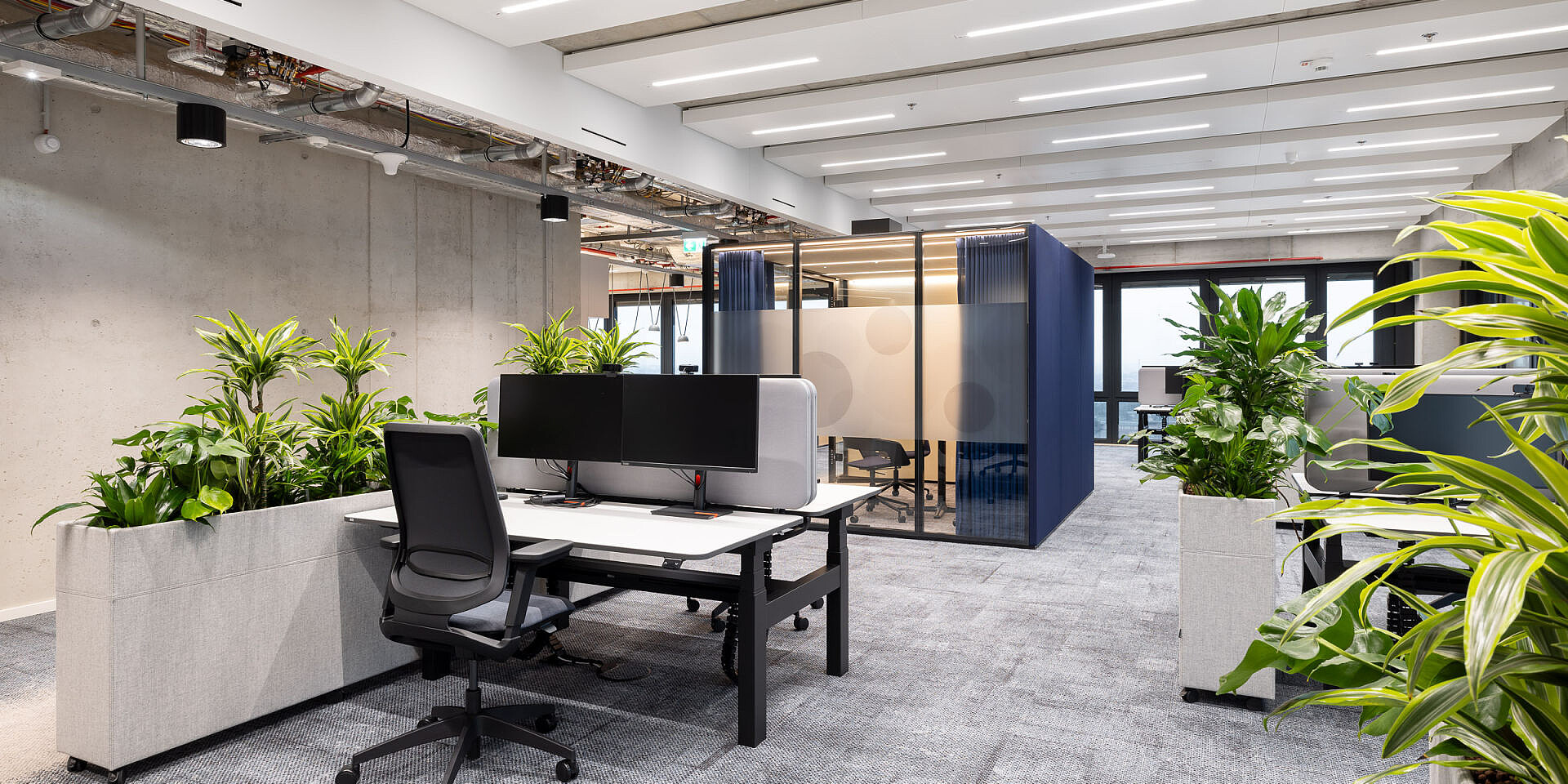Modernes Büro mit höhenverstellbaren temptation c Schreibtischen und Bürodrehstühlen se:flex, Pflanzen und Trennwänden für ergonomisches Arbeiten.